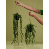 Artificial Ficus Pumila Hanging Bush in Pot 60 cm