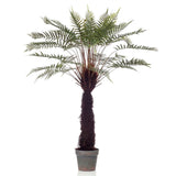 Artificial Fern Dicksonia Tree 125 cm in Pot