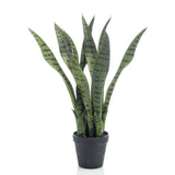 Artificial Sansevieria 55 cm in Pot