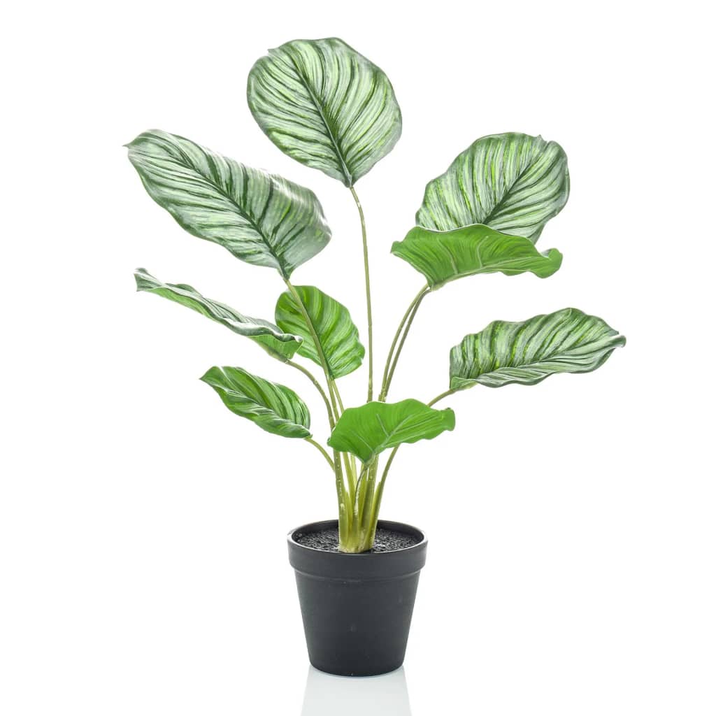 Artificial Calathea Orbifolia 45 cm in Pot