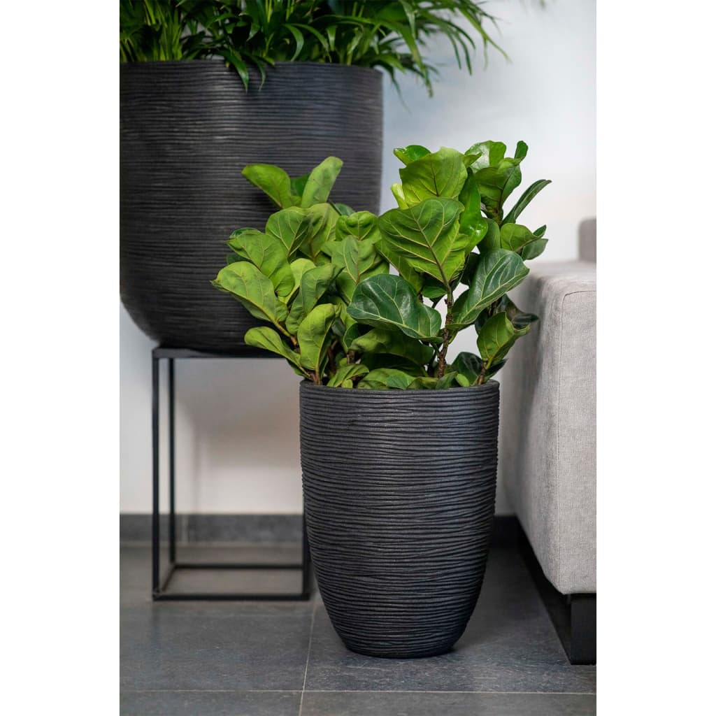 Egg Planter Nature Rib 54x52 cm Black KBLR935