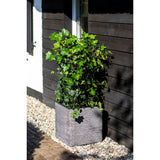 Planter Nature Rib Square 30x30 cm Anthracite KOFZ902