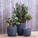 Egg Planter Waste Rib 43x41 cm Grey