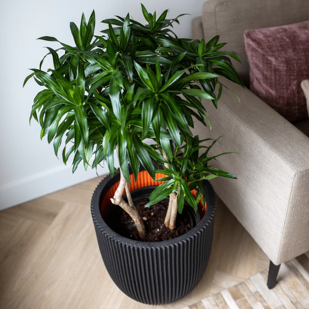 Planter Groove 35x34 cm Black