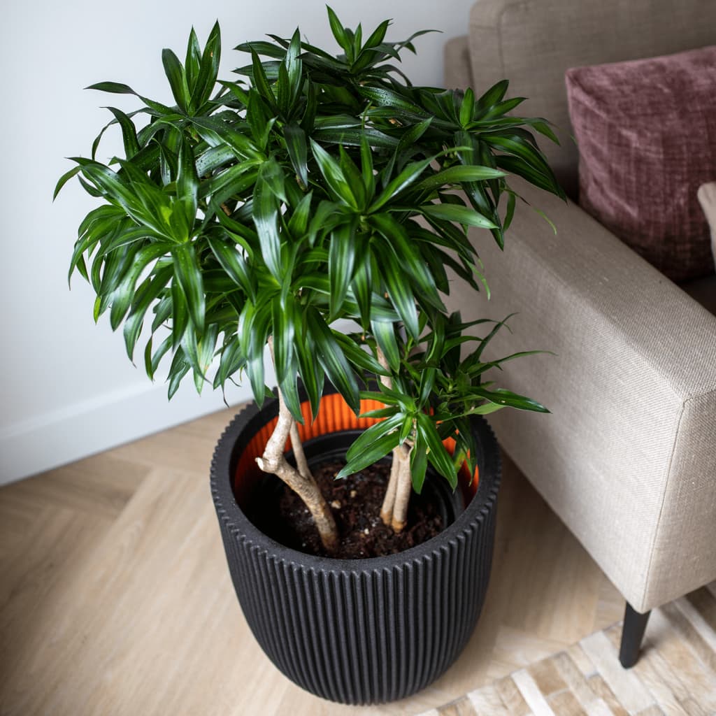 Planter Groove 43x41 cm Black