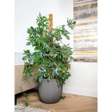 Planter Groove 35x34 cm Anthracite