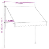 Manual Retractable Awning 250 cm Blue and White Stripes