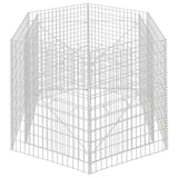 Hexagonal Gabion Raised Bed 160x140x100 cm