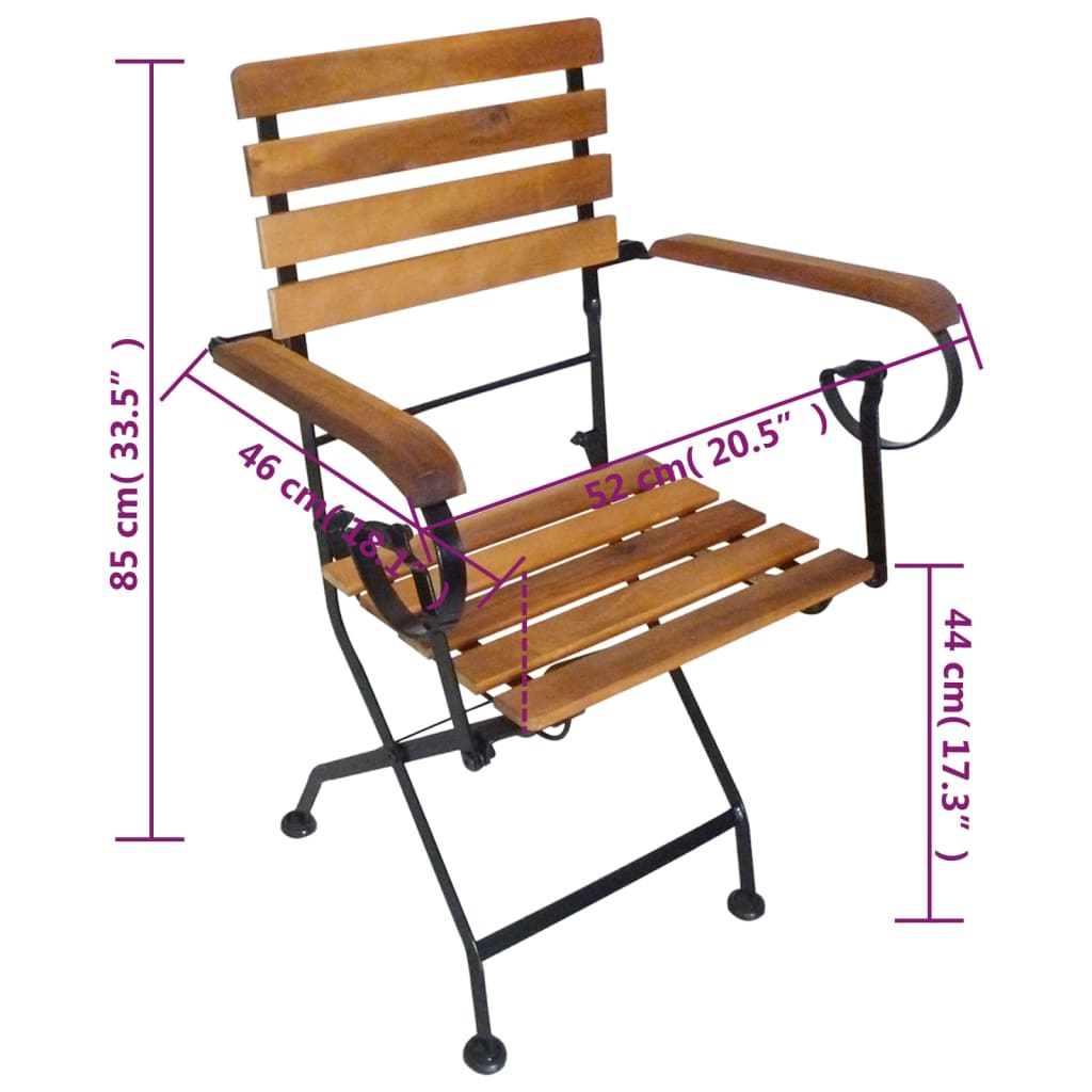 Folding Garden Chairs 2 pcs Steel and Solid Acacia Wood