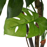 Artificial Monstera Plant with Pot 170 cm Green