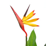 Artificial Strelitzia Reginae Plant Bird of Paradise 66 cm