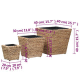 Raised Beds 3 pcs Water Hyacinth