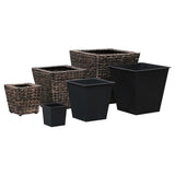 Raised Beds 3 pcs Water Hyacinth Brown