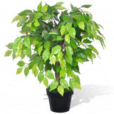 Artificial Dwarf Ficus with Pot 60 cm