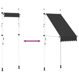 Manual Retractable Awning 100 cm Anthracite