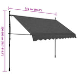 Manual Retractable Awning with LED 250 cm Anthracite