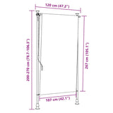 Outdoor Roller Blind 120x270 cm Anthracite