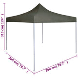 Professional Folding Party Tent 2x2 m Steel Anthracite