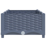 Raised Bed 120x40x23 cm Polypropylene