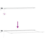 Awning with Manual White 6 x 3 m Metal