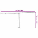 Awning Post Set Anthracite 600x245 cm Iron