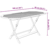 9 Piece Folding Garden Dining Set Solid Acacia Wood