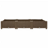 Raised Bed 120x40x23 cm Polypropylene