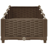 Raised Bed 120x40x23 cm Polypropylene