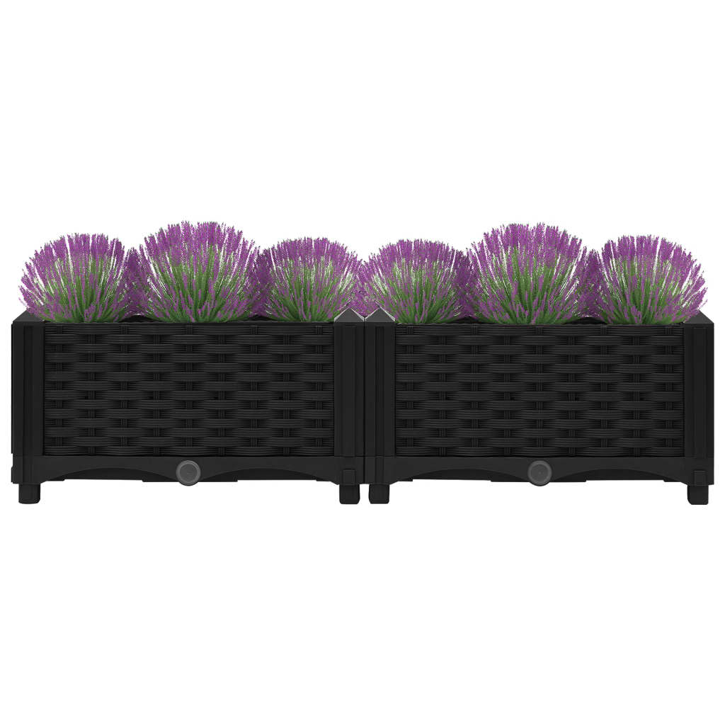 Raised Bed 80x40x23 cm Polypropylene