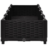 Raised Bed 160x40x23 cm Polypropylene