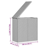 Garden Cushion Box PE Rattan 100x49x103.5 cm Brown