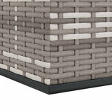 Garden Cushion Box PE Rattan 100x49x103.5 cm Grey