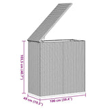 Garden Cushion Box PE Rattan 100x49x103.5 cm Grey