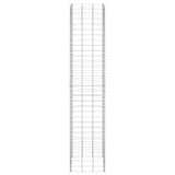 Gabion Raised Beds 3 pcs 30x30x150 cm Iron