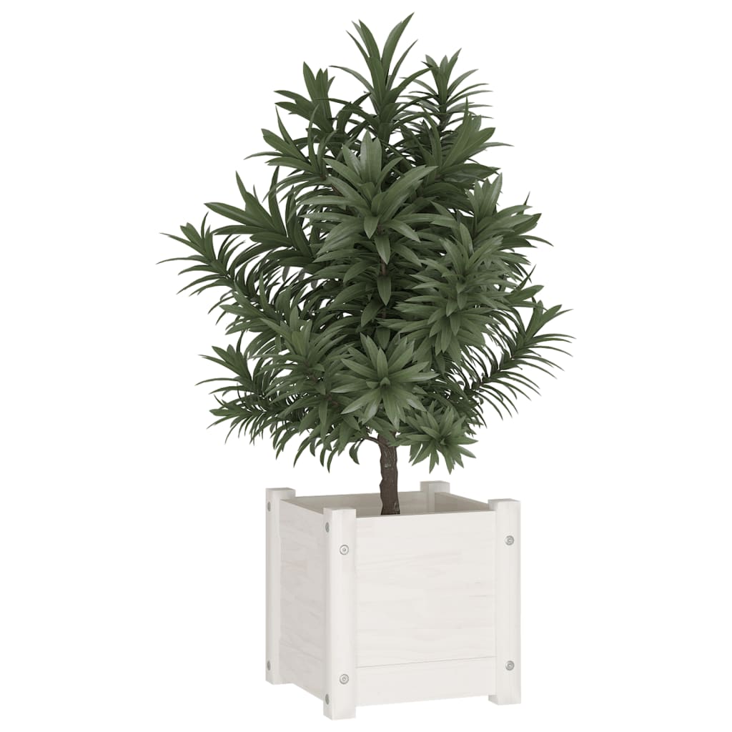 Garden Planter White 31x31x31 cm Solid Pinewood