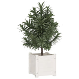 Garden Planters 2 pcs White 31x31x31 cm Solid Pinewood