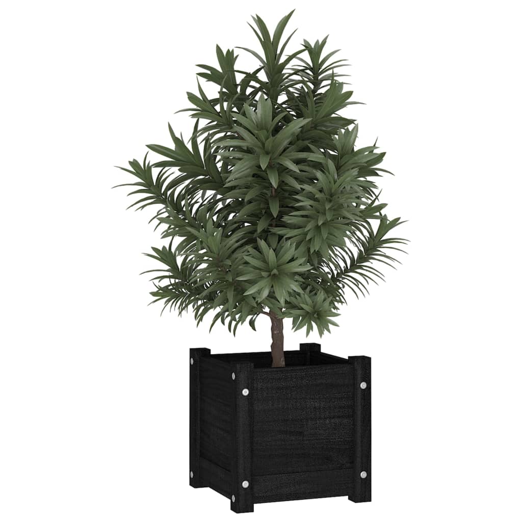 Garden Planter Black 31x31x31 cm Solid Pinewood