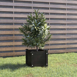 Garden Planter Black 31x31x31 cm Solid Pinewood