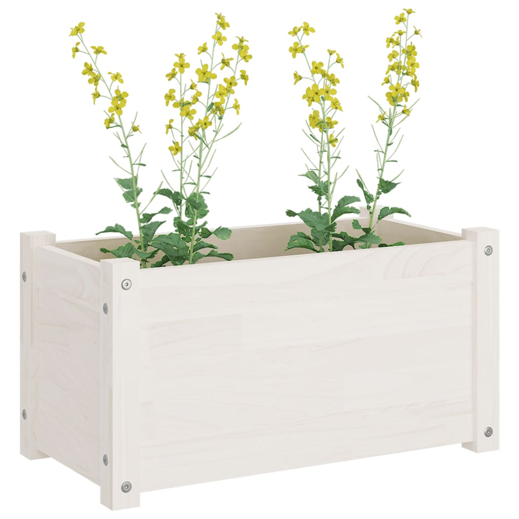 Garden Planter White 60x31x31 cm Solid Pinewood