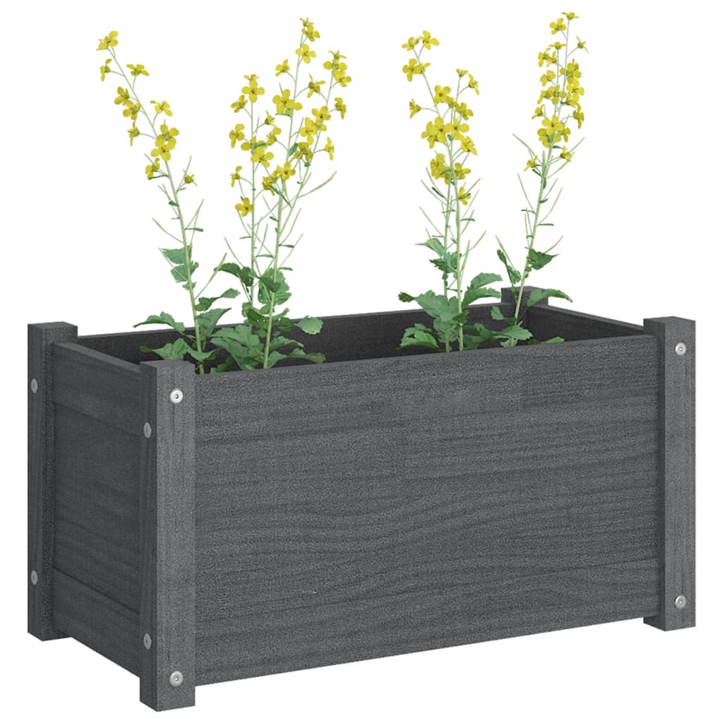 Garden Planter Grey 60x31x31 cm Solid Pinewood