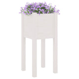 Garden Planters 2 pcs White 31x31x70 cm Solid Pinewood