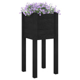 Garden Planters 2 pcs Black 31x31x70 cm Solid Pinewood