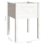 Garden Planter White 50x50x70 cm Solid Pinewood