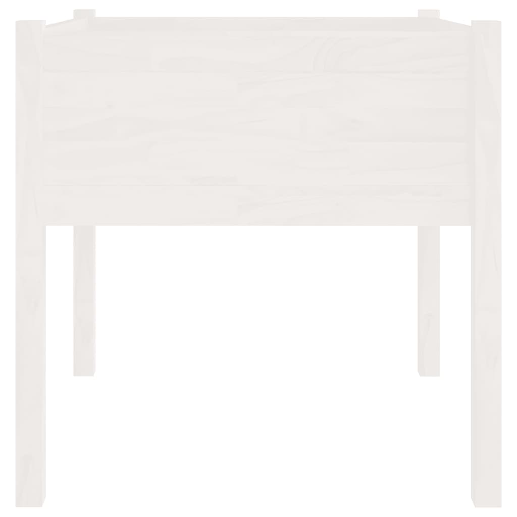 Garden Planter White 70x70x70 cm Solid Pinewood