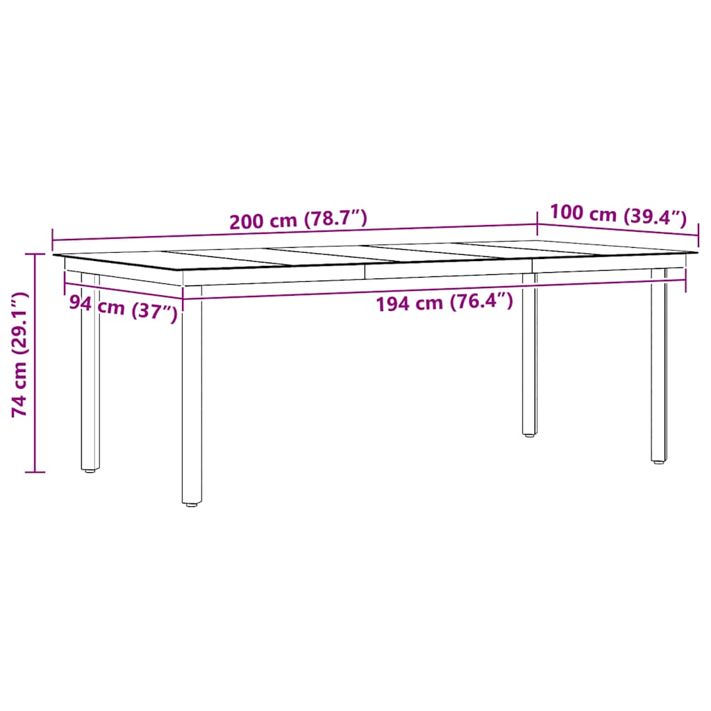 Garden Dining Table Black 200x100x74 cm Steel and Glass