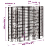 Gabion Raised Bed Galvanised Iron 120x50x100 cm