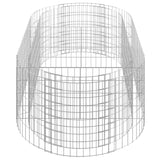 Gabion Raised Bed Galvanised Iron 200x100x50 cm