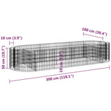 Gabion Raised Bed Galvanised Iron 300x100x50 cm