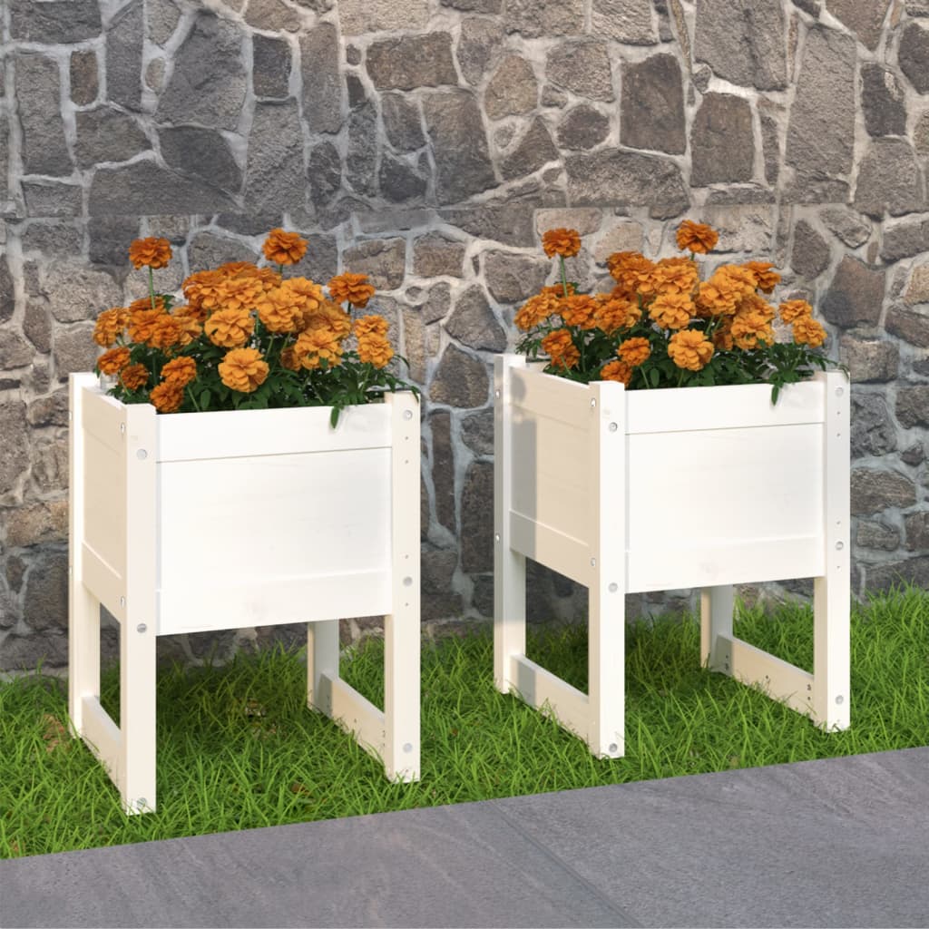 Planters 2 pcs White 40x40x52.5 cm Solid Wood Pine