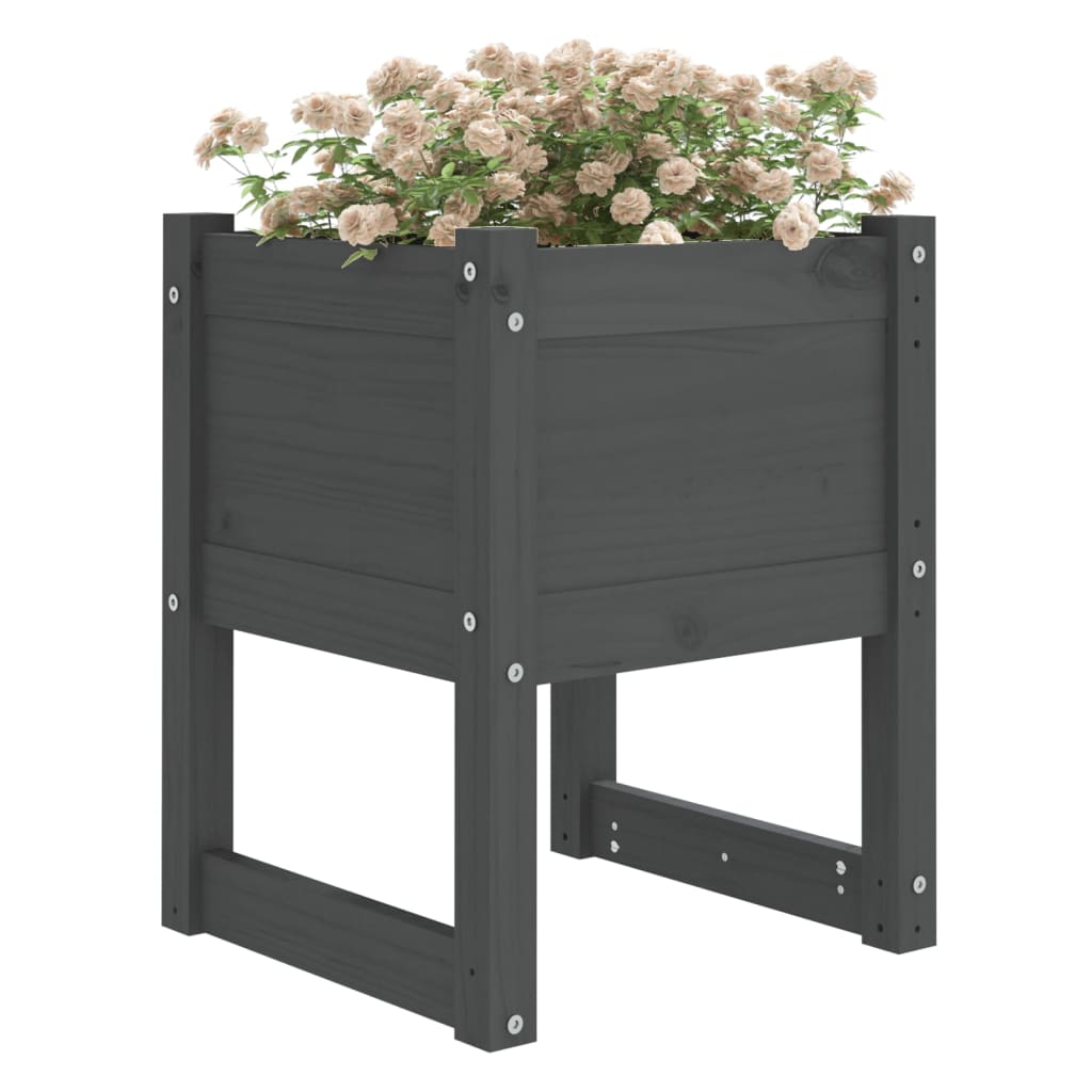 Planters 2 pcs Grey 40x40x52.5 cm Solid Wood Pine